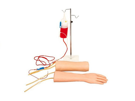 手部、肘部组合式静脉输液（血）训练模型    型号：SJ/S18