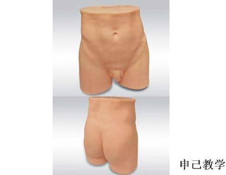  针灸臀部训练模型 型号：SJ/MJ-TP