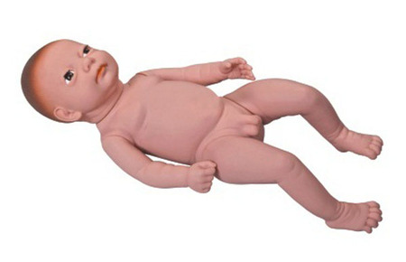 高级出生婴儿护理模型 型号 ：SJY4