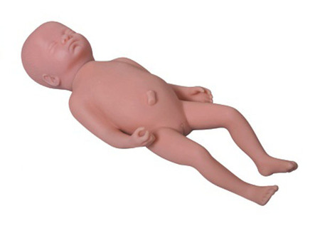 高级足月胎儿模型  型号：SJ-Y1