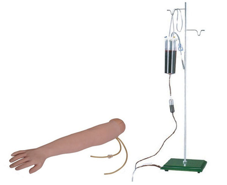 高级手臂静脉穿刺训练模型   型号：SJ/S1