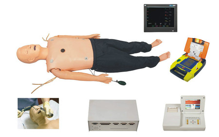 高级心肺复苏模拟训练急救人（电脑版）SJ/CPR850C