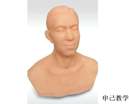  针灸头部训练模型 型号：SJ/MJ-T