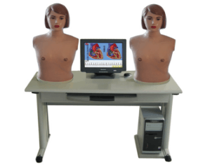 智能型网络多媒体胸腹部检查综合教学系统(学生机）型号:SJ/XD-AT